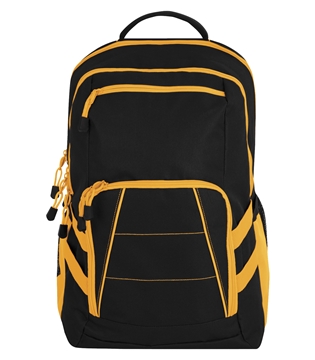Picture of VarCITY Backpack